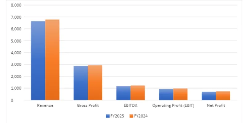 Financial Summary Table